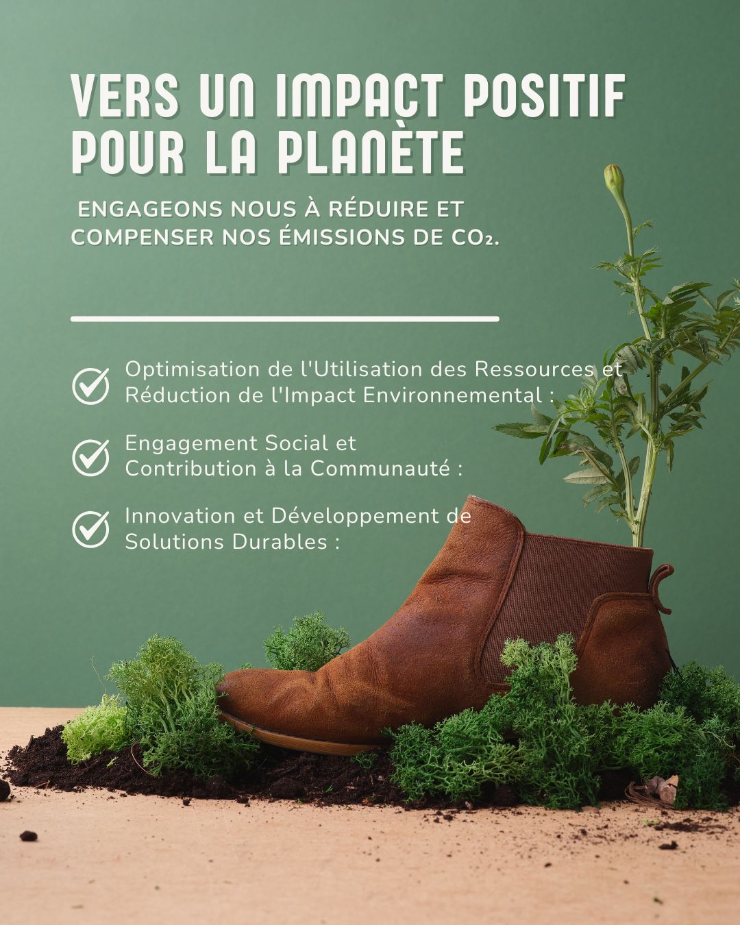 Post Instagram Entreprise RSE Écologie Moderne Professionnel Vert