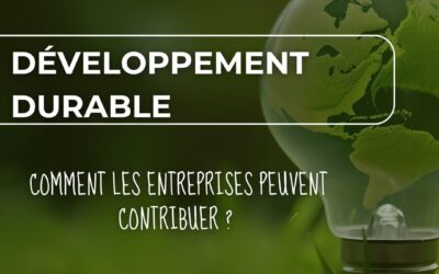 Le Développement Durable : Comment les Entreprises Peuvent Contribuer ?